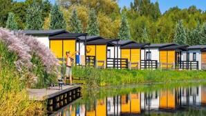 A row of yellow cabins with a dock extending into a calm body of water, surrounded by lush greenery and trees. - Single-story Holiday Home by the Pond no. 3 (Darlowo)