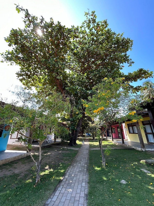A pathway leading through a courtyard with a large tree and a building with a red door.