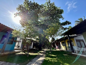 A courtyard with a tree, pathway, and buildings with windows and doors.