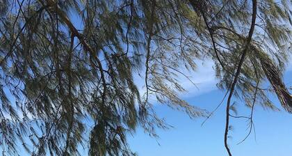Chalet 1 to 50m from the Sea Barra Grande-AL