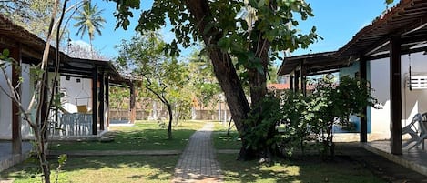 A pathway leading to covered structures with a tree overhead.