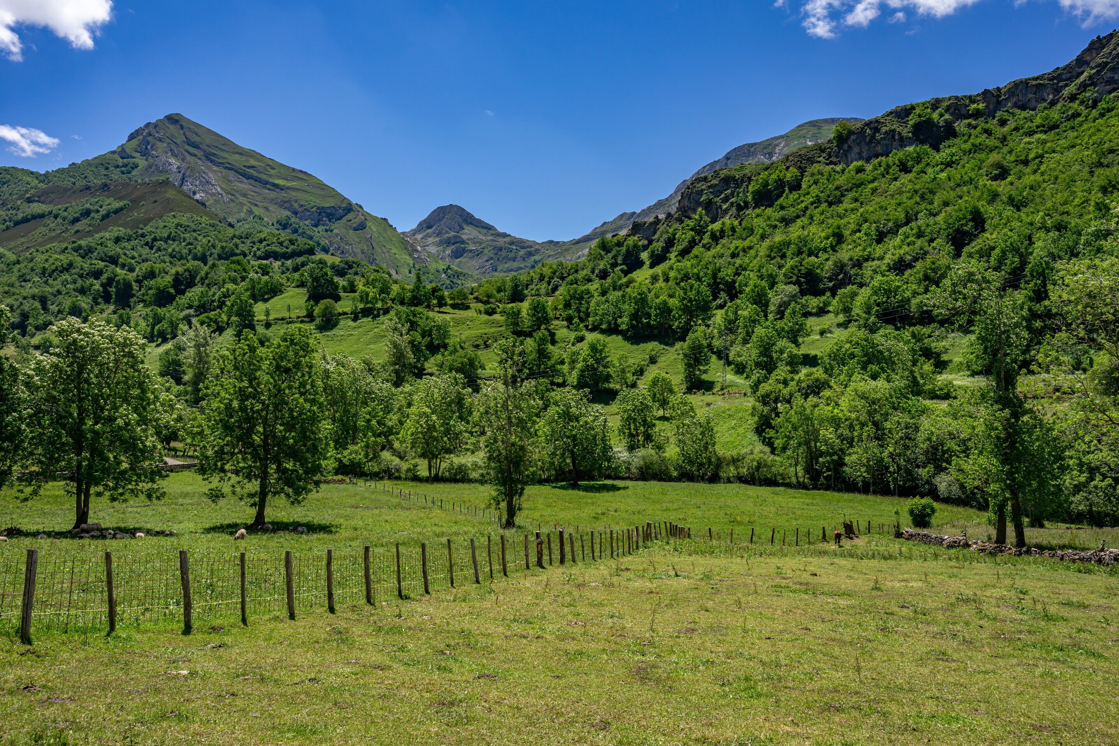 Un paisaje montañoso con cielo despejado, un campo cercado y árboles.