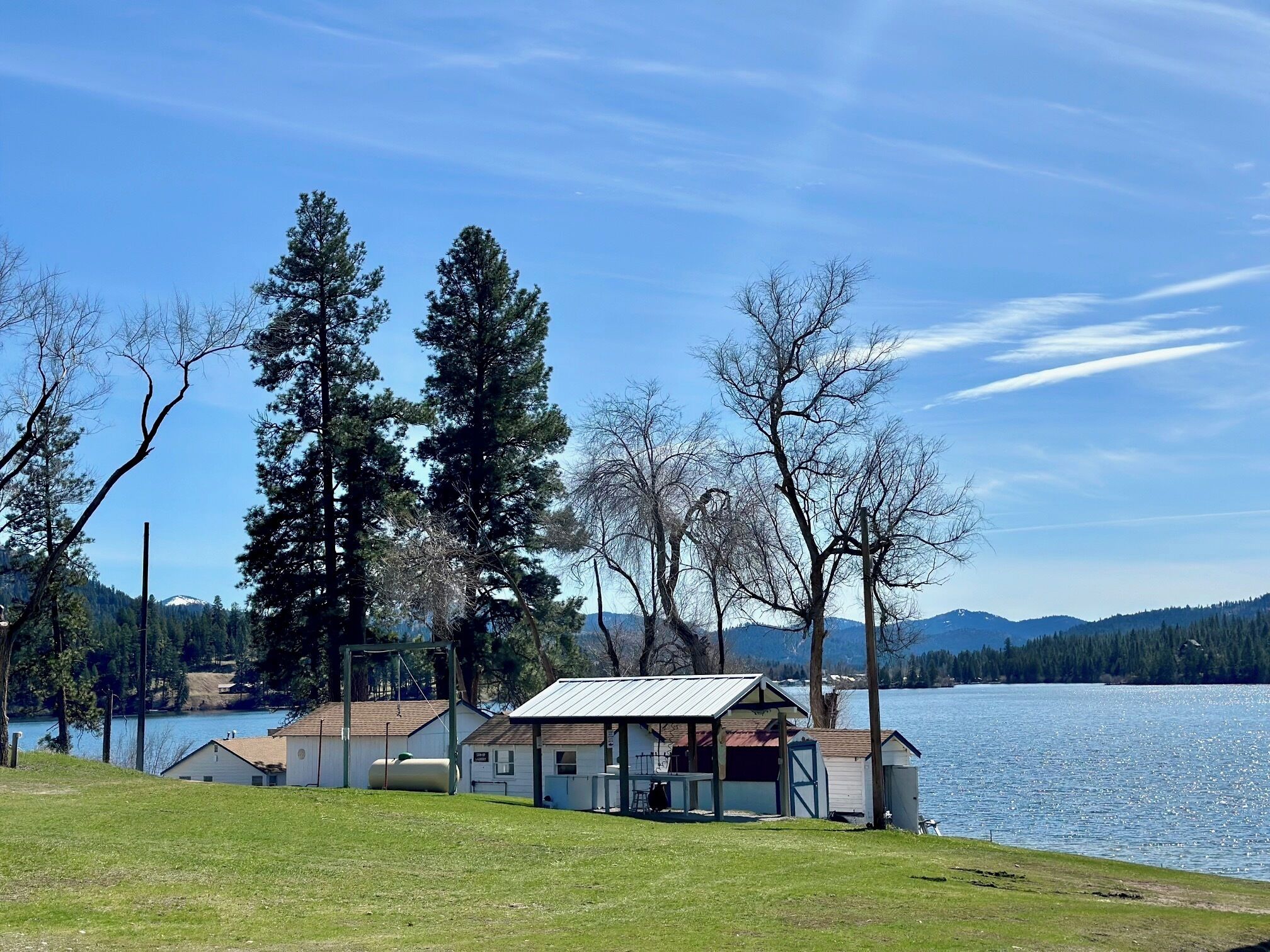 A lakeside cabin with a metal roof, surrounded by trees and a clear sky.
