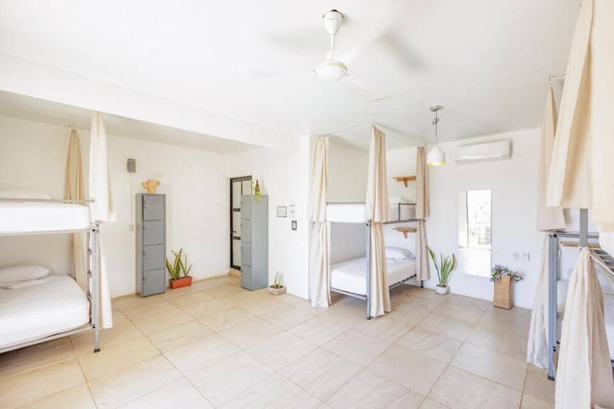 A room with bunk beds, a ceiling fan, a wardrobe, and potted plants.