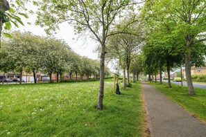 Een pad omzoomd door bomen en gras, dat leidt naar een woonwijk met huizen en geparkeerde auto's.