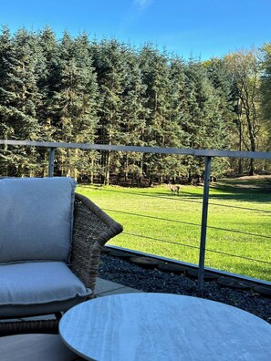 Een balkon met uitzicht op een grasveld en bomen.