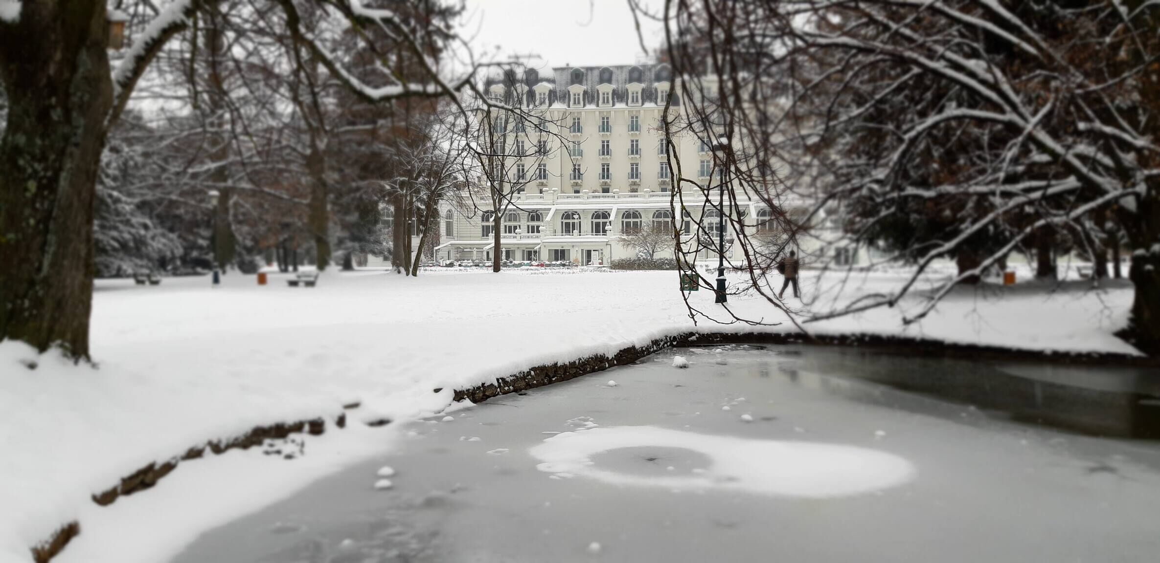 En snötäckt park med en damm, träd och en byggnad i bakgrunden.