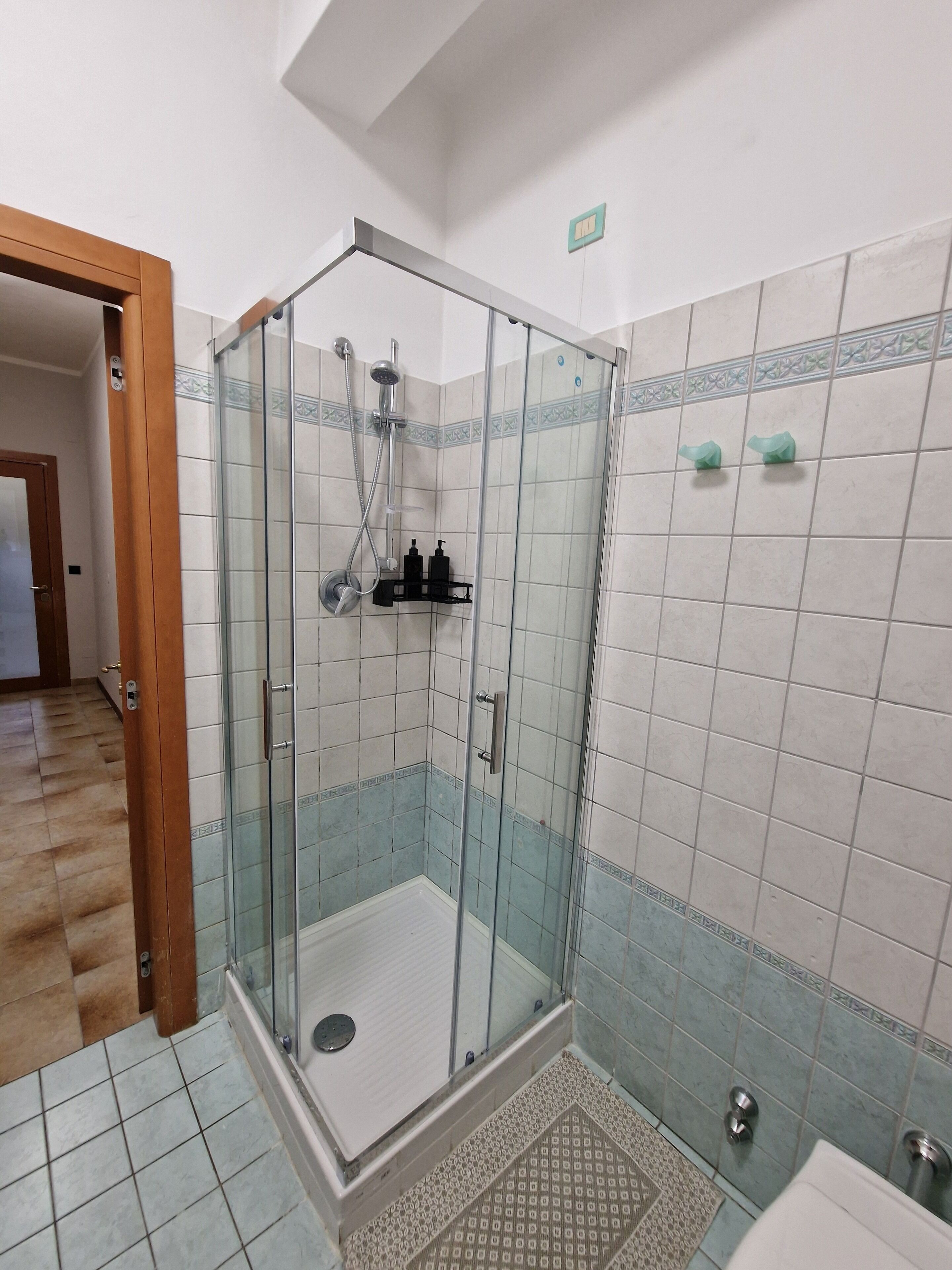 Secadora de cabello, toallas, jabón, papel de baño 
