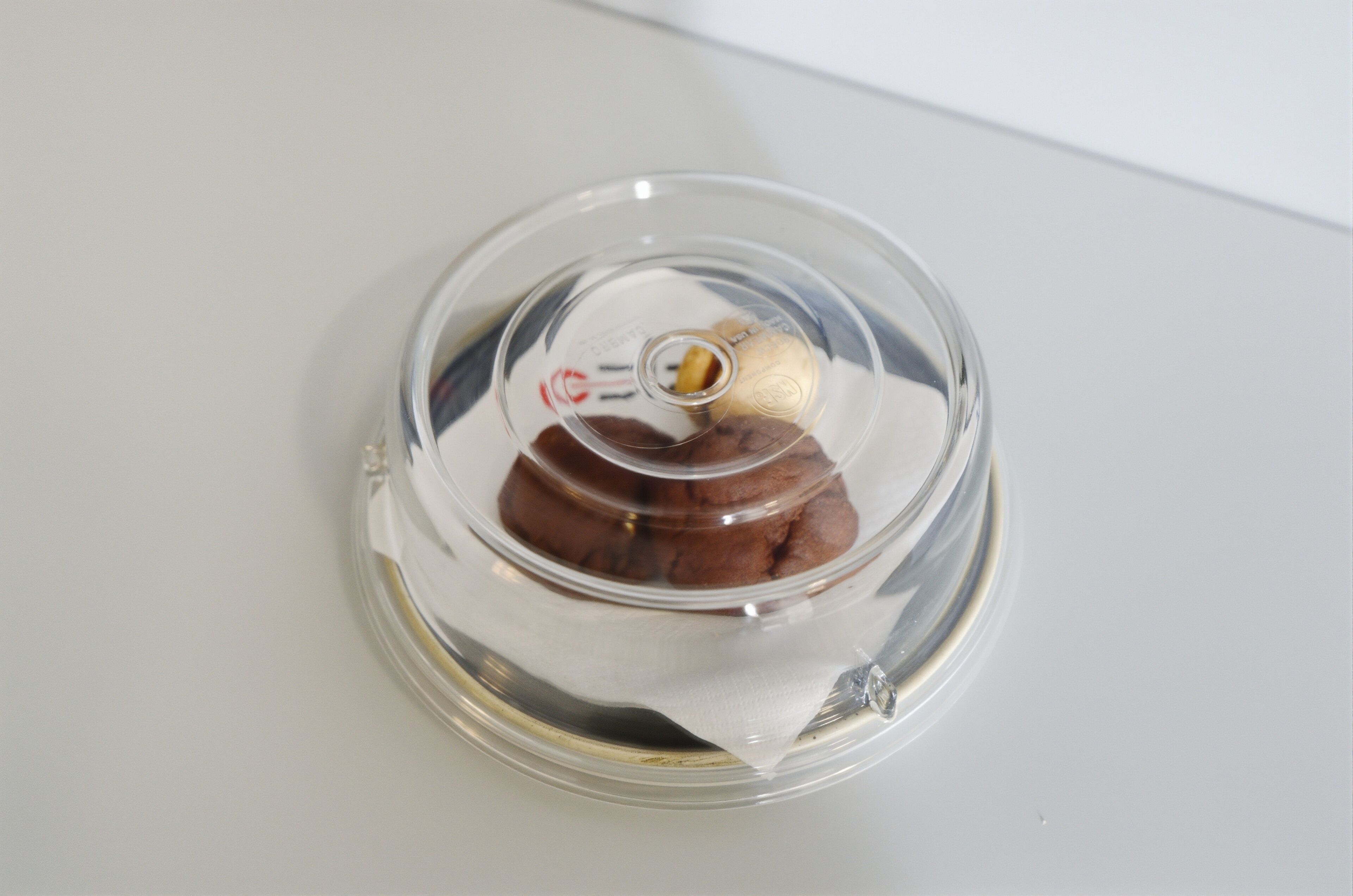 A clear plastic container with a lid, containing a brown object, possibly food, on a white surface.