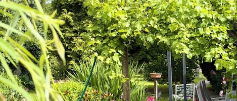 Un jardin agrémenté d’une pergola, de plantes en pot et d’un chemin pavé de pierres.