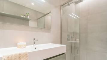 Shower, hair dryer, bidet, towels