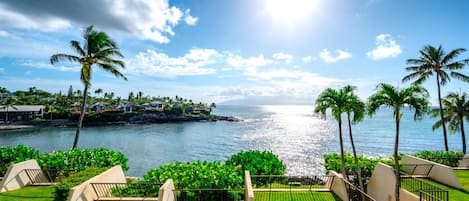 A coastal view with a clear sky, palm trees, and a well-maintained lawn.