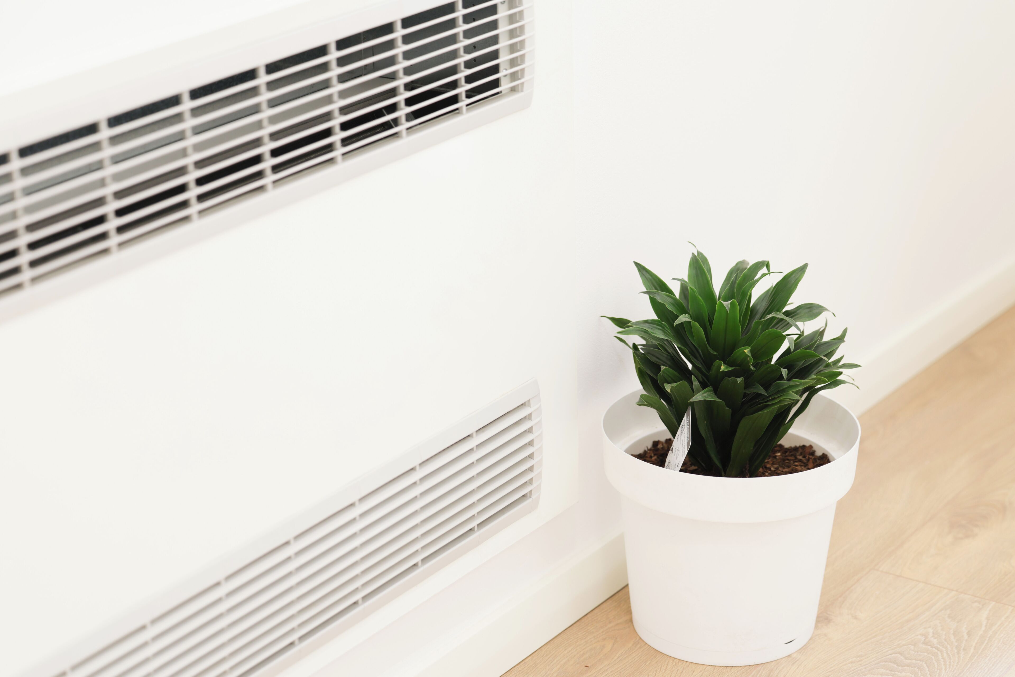 A white wall with a white vent and a white potted plant.