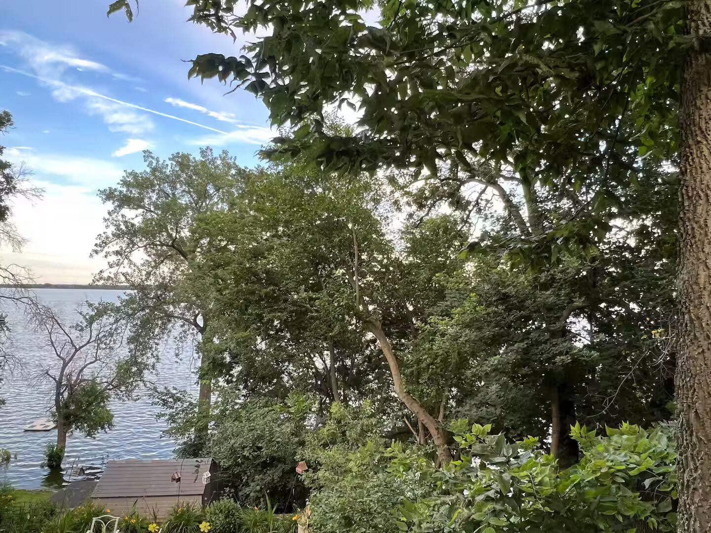 A lakeside view with dense foliage, a dock, and a small building.