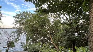 A lakeside view with dense foliage, a dock, and a small building.