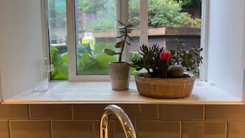 Uma cozinha com janela, pia e planta em vaso.