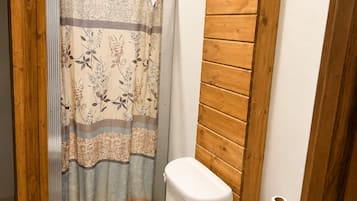 Shower, towels, toilet paper