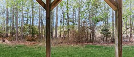 A wooden pergola structure with a view of a forested area.