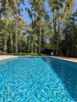 Una piscina cristalina rodeada de árboles.