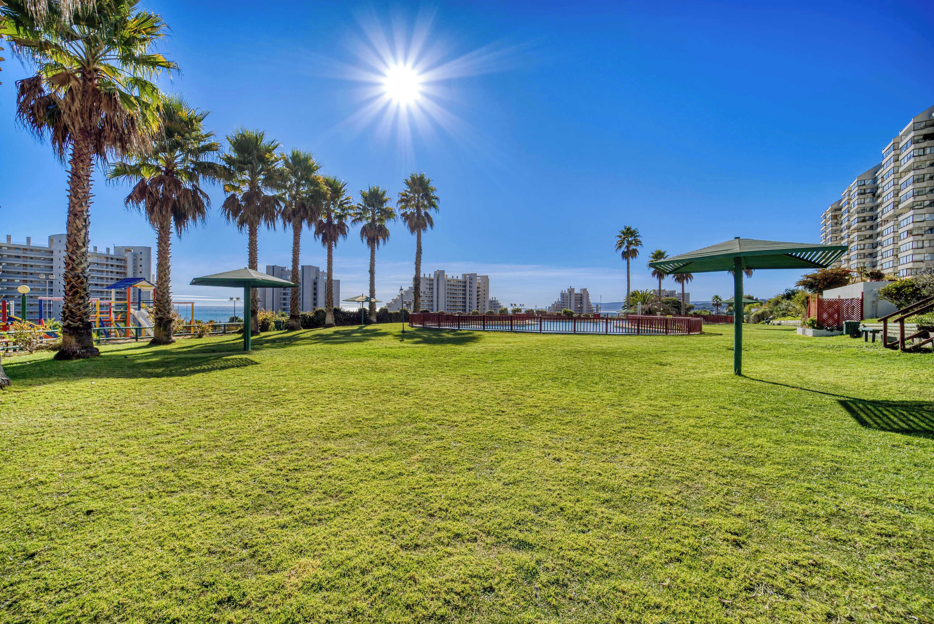 A grassy park area with palm trees, a sunlit sky, and a view of a body of water and buildings in the distance.