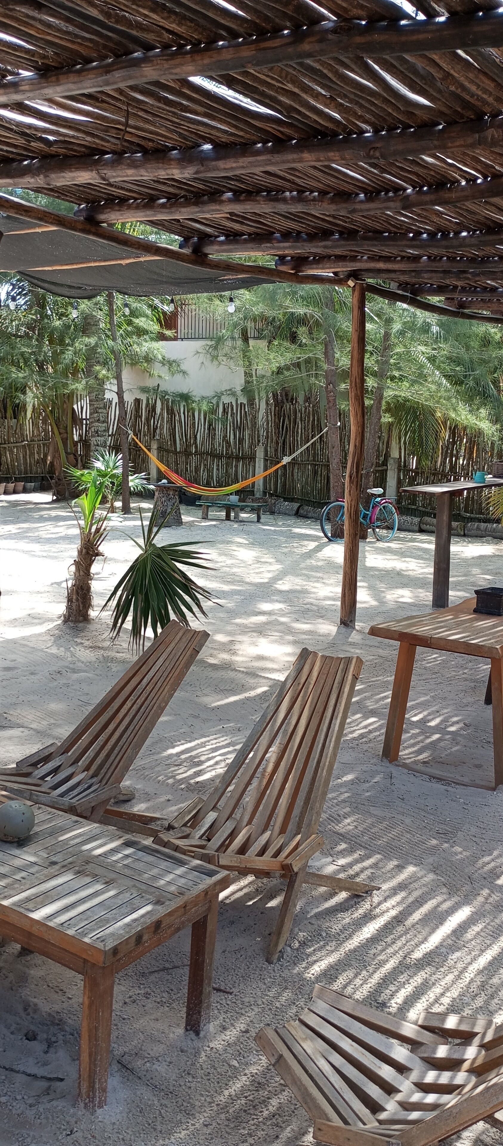 Terraza o patio
