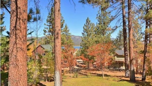 Ein Wohngebiet mit hohen Kiefern, ein Haus mit rotem Dach und freiem Blick auf See und Berge im Hintergrund.