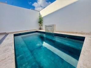 Une piscine rectangulaire aux carreaux bleu clair, entourée d’un mur blanc et agrémentée d’une petite plante en pot.