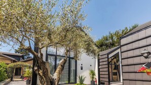Un edificio moderno con un grande albero di fronte, un cartello con il numero 5 e un cartello con il numero 7.