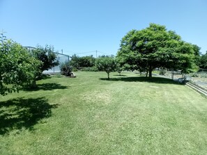 A grassy outdoor area with trees and a building.