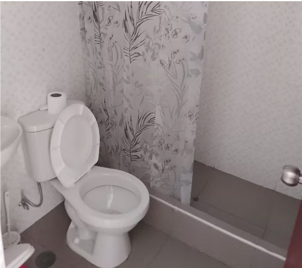 A bathroom with a toilet, a shower curtain, and a toilet paper holder.
