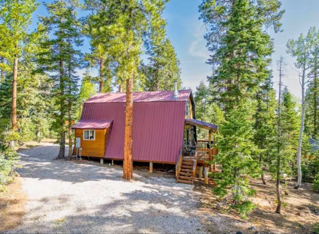 A cabin with a red roof, surrounded by tall pine trees, a gravel driveway, and a wooden deck.