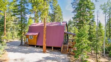 A cabin with a red roof, surrounded by tall pine trees, a gravel driveway, and a wooden deck.