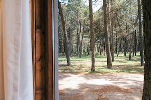 A forested area with a dirt path and trees. - Safari Beach & Camping (Ulcinj)