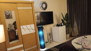 Ein Zimmer mit Schrank, Fernseher, Pflanze, Bett und Spiegel.