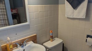 A bathroom with a sink, toilet, and mirror.