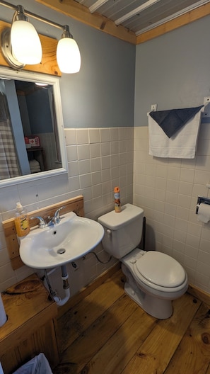 A bathroom with a sink, toilet, and mirror. - Cozy 1 room cabin in De Soto! (De Soto)
