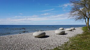 Ein Kiesstrand mit großen, glatten Steinen und einem Baum.