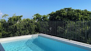 Une piscine entourée d’une clôture métallique, elle-même bordée d’une végétation luxuriante et d’arbres.