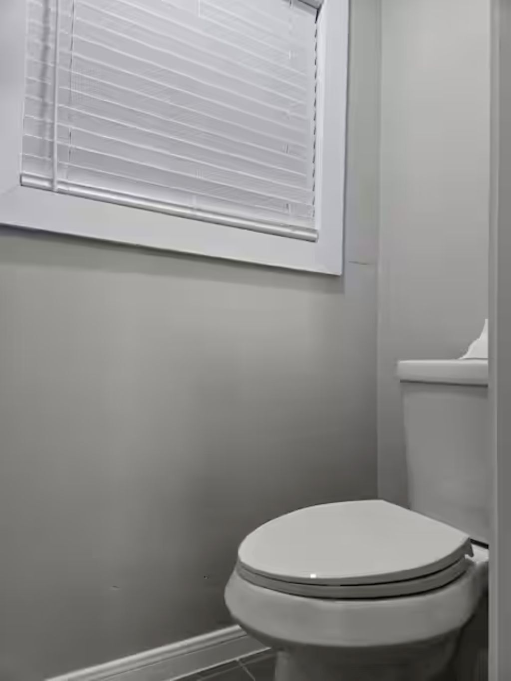 Shower, soap, toilet paper