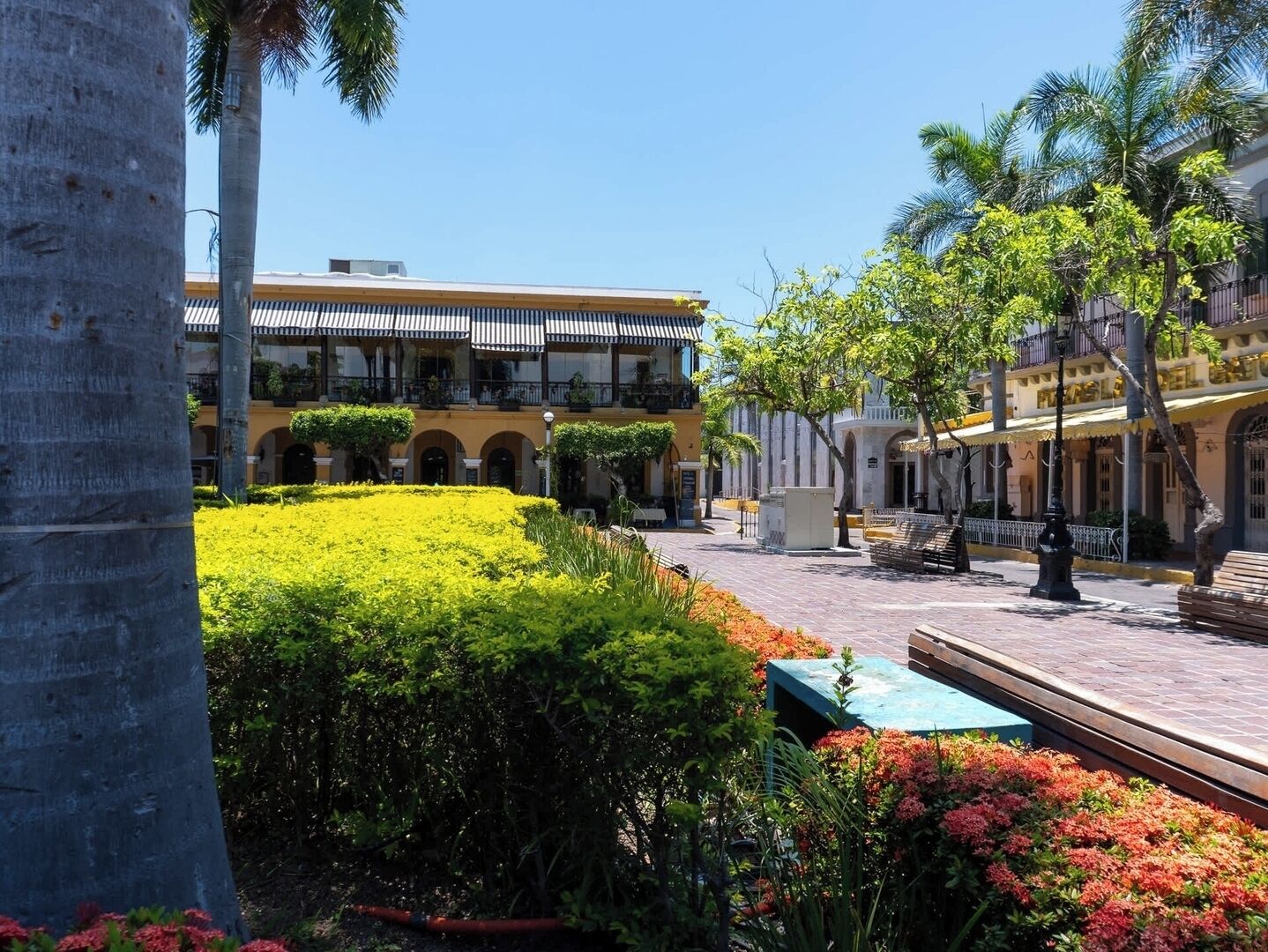A courtyard with a yellow building, palm trees, and a well-maintained garden.
