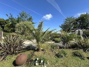 Un jardín con diversas plantas y un pabellón.