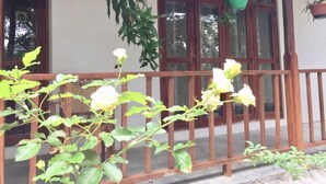 Eine Veranda mit hängenden Pflanzgefäßen und einer blühenden Pflanze.