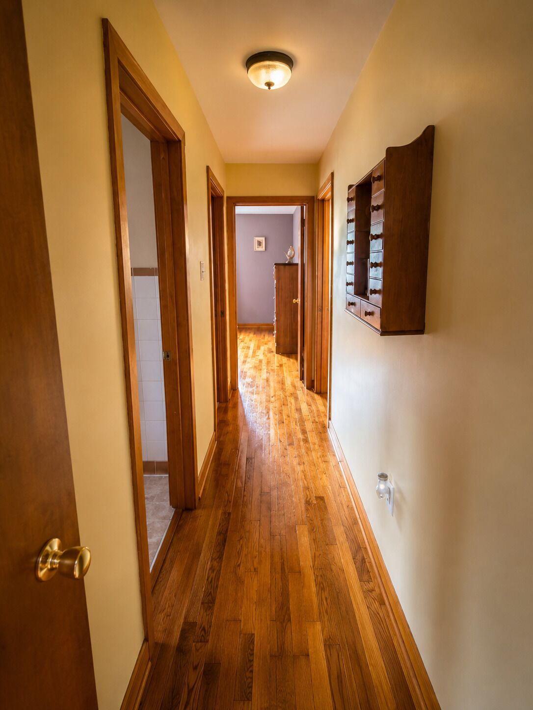 A hallway with wooden flooring, a light fixture, and a wall-mounted cabinet.