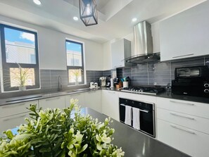 Een moderne keuken met een gasfornuis, oven en een inbouw vaatwasser. Er zijn twee ramen met planten op de vensterbank.