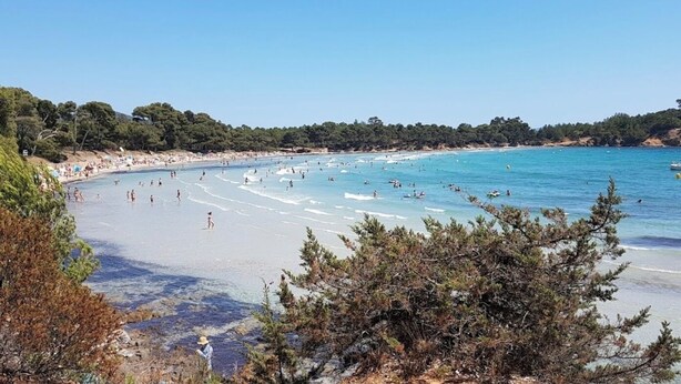 A beach with clear water, people swimming and walking, and trees in the background. - Comfortable central apartment, swimming pool, air conditioning, terrace, parking (Hyères)