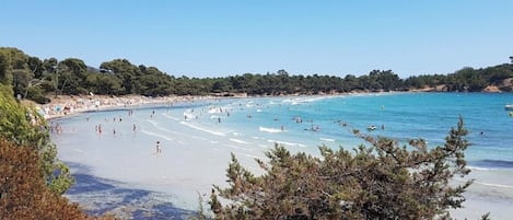 Playa