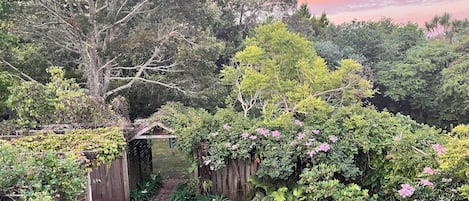 Un jardín con cerca de madera, un sendero de ladrillo y diversas plantas verdes.