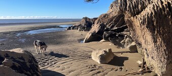 Cosy private cottage  3 mins walk to beach sleeps 5  Rangihaeata Golden Bay