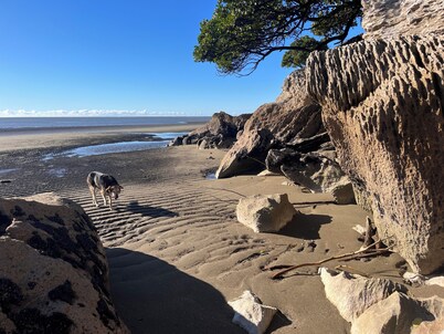 Private cottage 3 mins walk to beach sleeps 5 Rangihaeata Takaka Golden Bay
