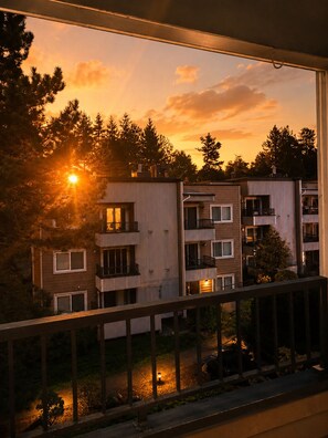 Property grounds - 3 bed peaceful downtown Kirkland condo (Kirkland)